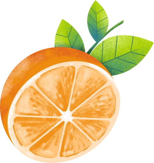 Orange Slice Illustration